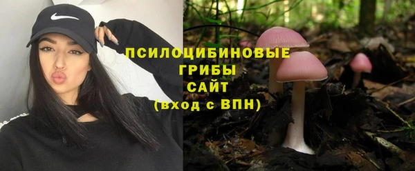 ALPHA PVP Шадринск