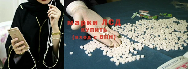 ПСИЛОЦИБИНОВЫЕ ГРИБЫ Арсеньев