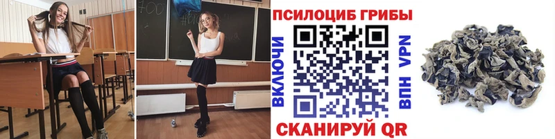 купить наркоту  Зубцов  Галлюциногенные грибы прущие грибы 